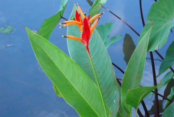 Now at campus galleries