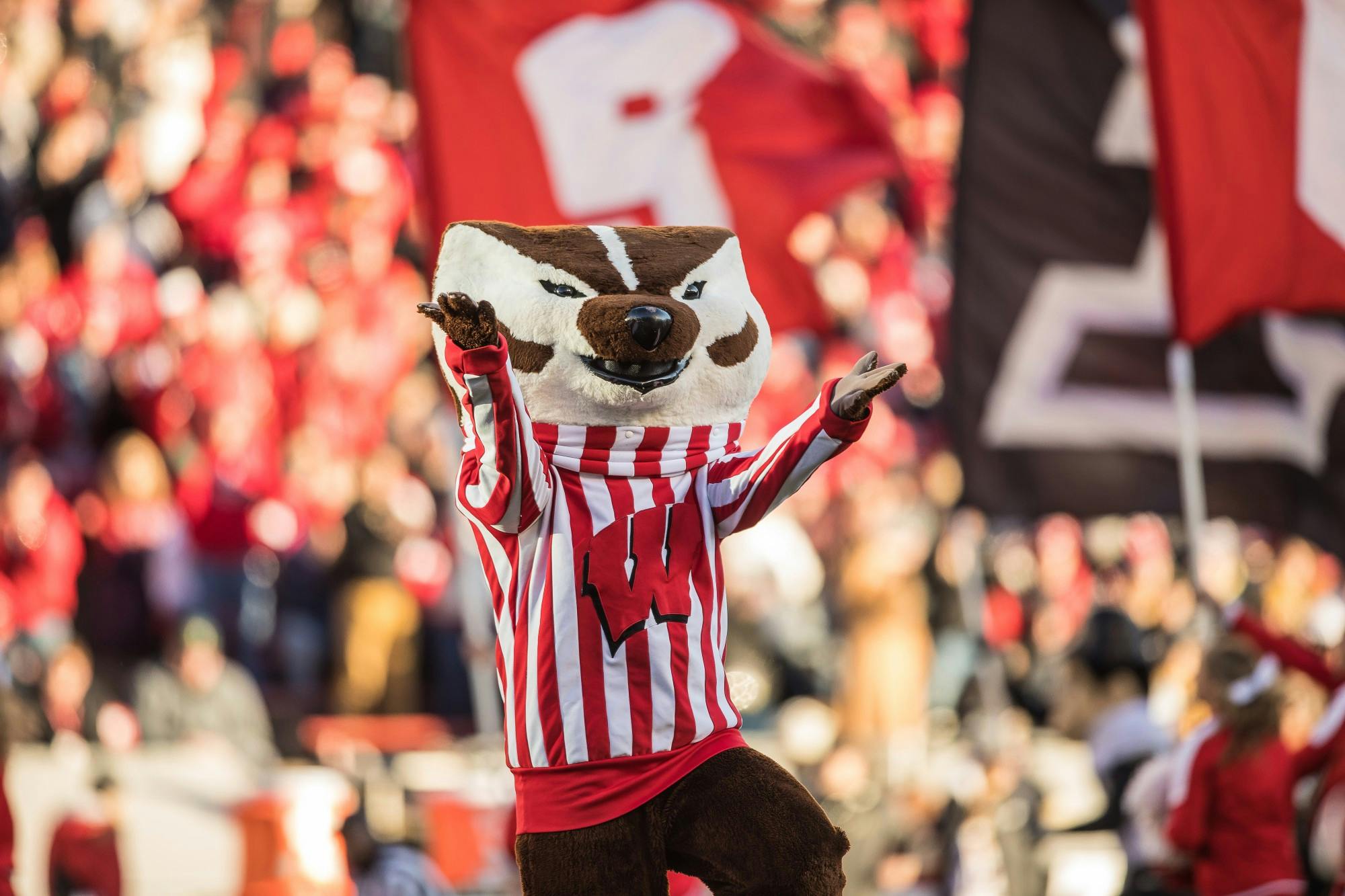 Badger Football vs. Purdue-53.jpg