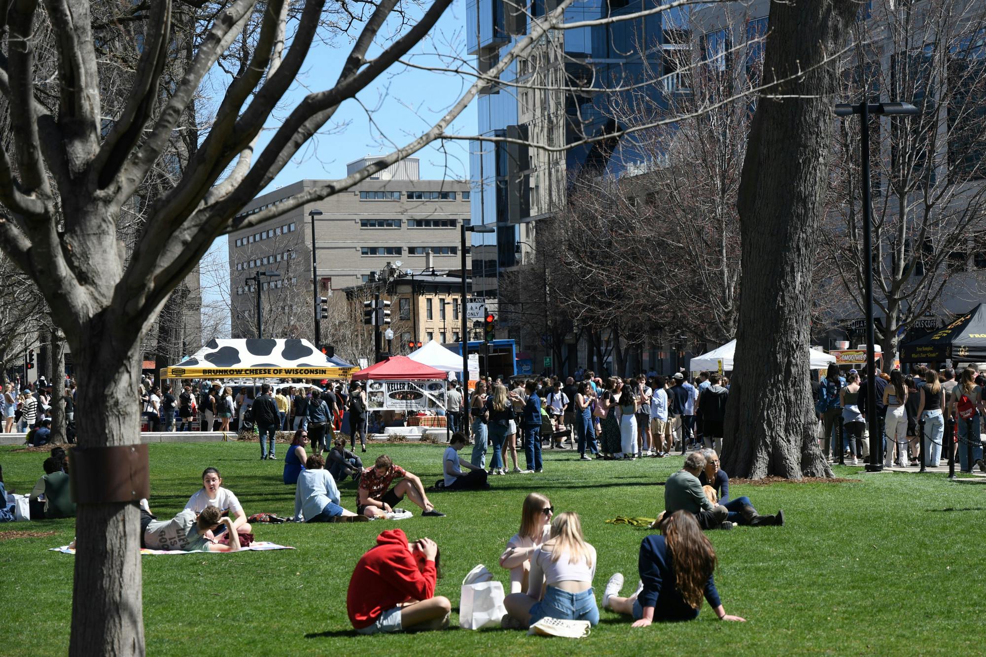 Madison Farmers Market .jpg