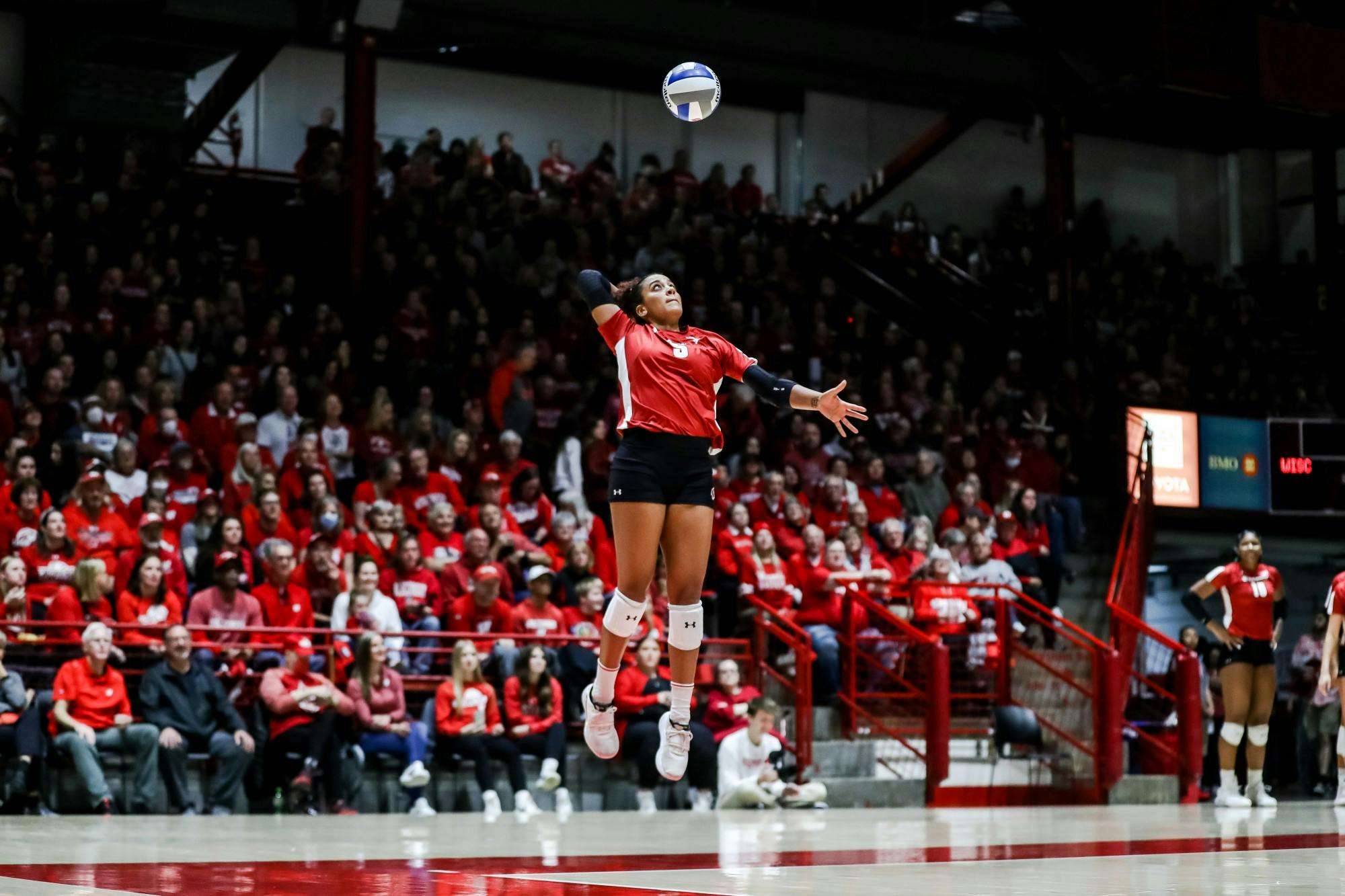 VolleyballVs.Michigan0351.JPG