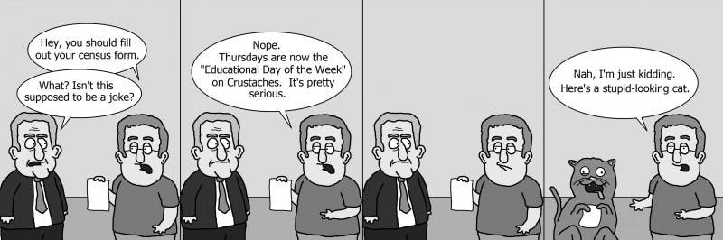 04/08/2010 - Crustaches