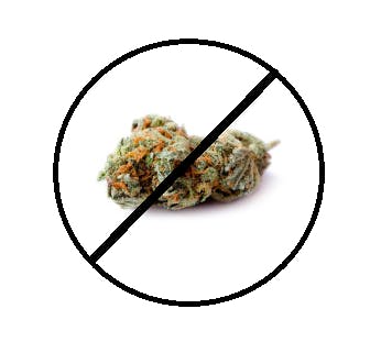 No Legal Weed!