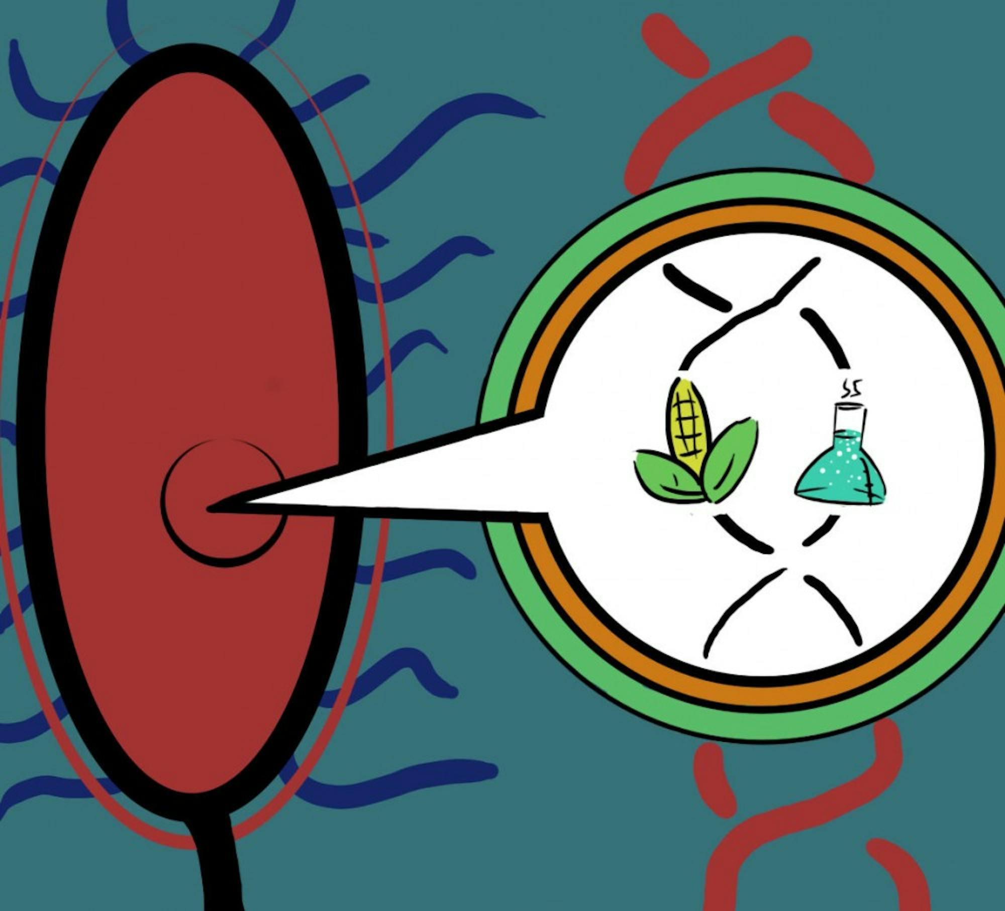 Bacterial genome reveals possible new fuels and chemicals