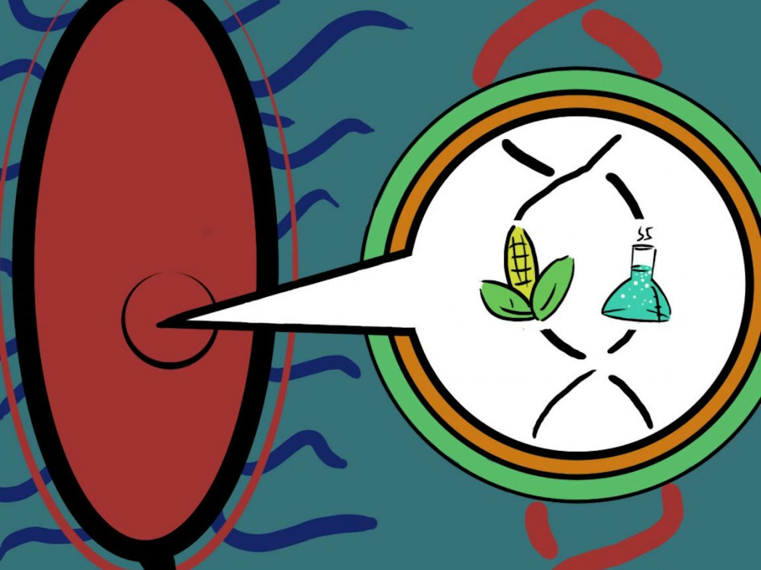 Bacterial genome reveals possible new fuels and chemicals