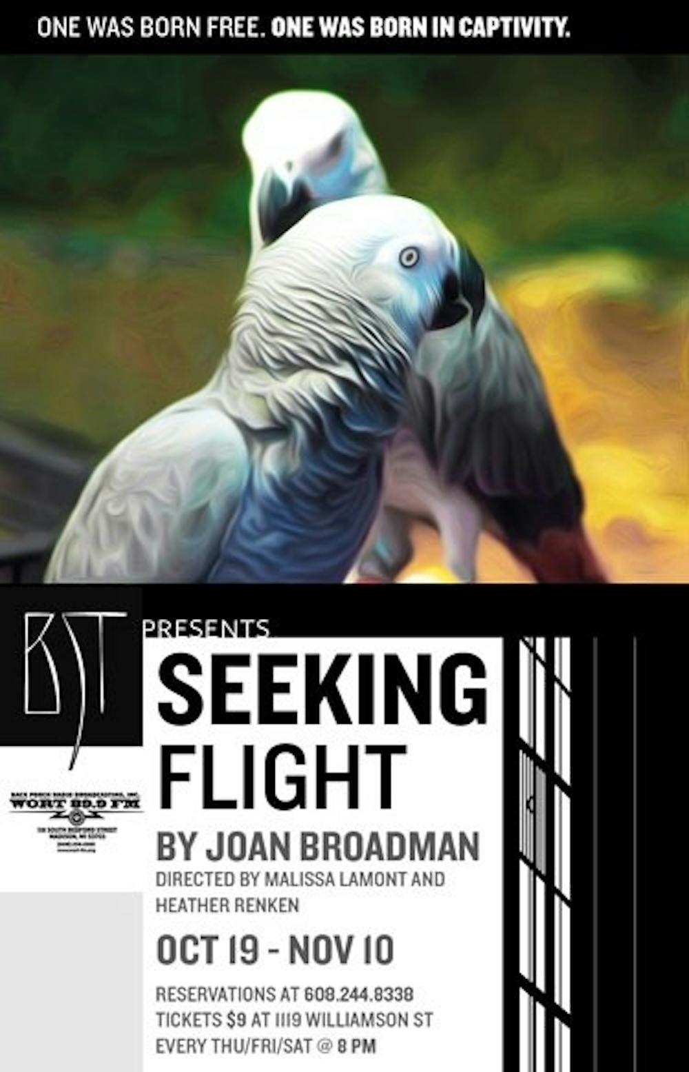'Seeking Flight'