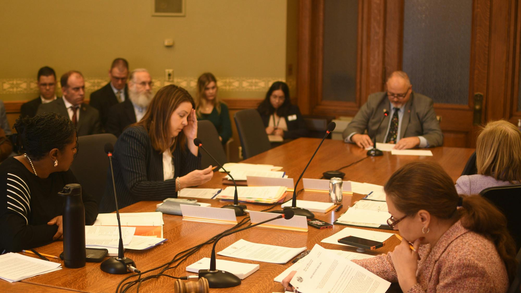 publichearing11_28.jpg