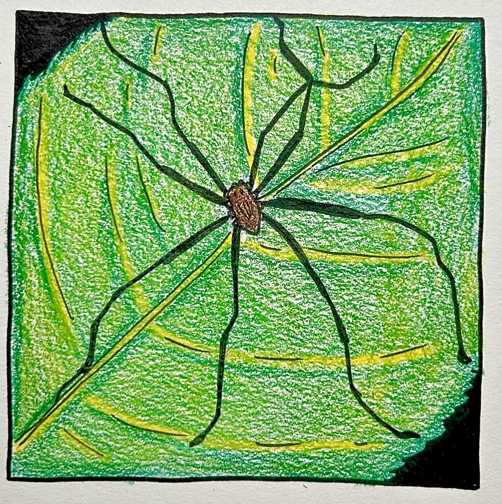 Daddy Long Legs EP 2.0 | XIII