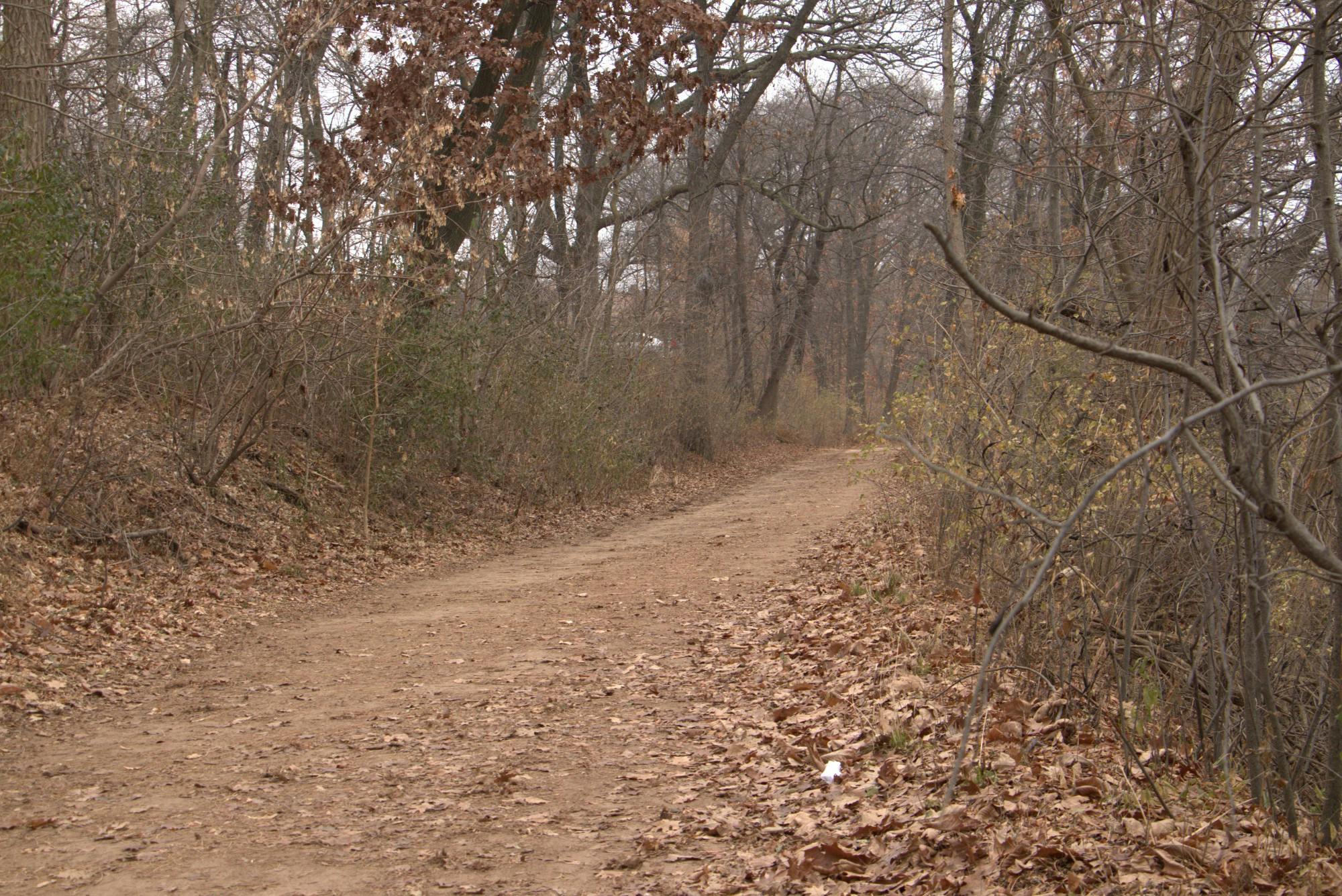 Nick Duda Lakeshore Preserve Path.jpg