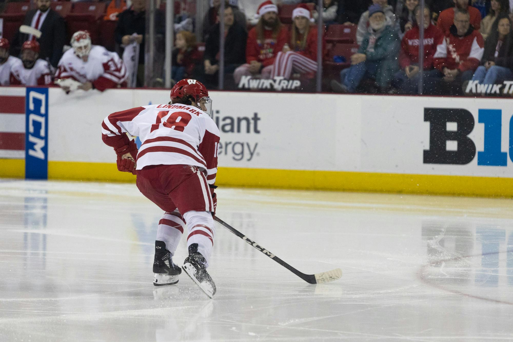 Wisconsin Mens Hockey vs Penn State10.jpg