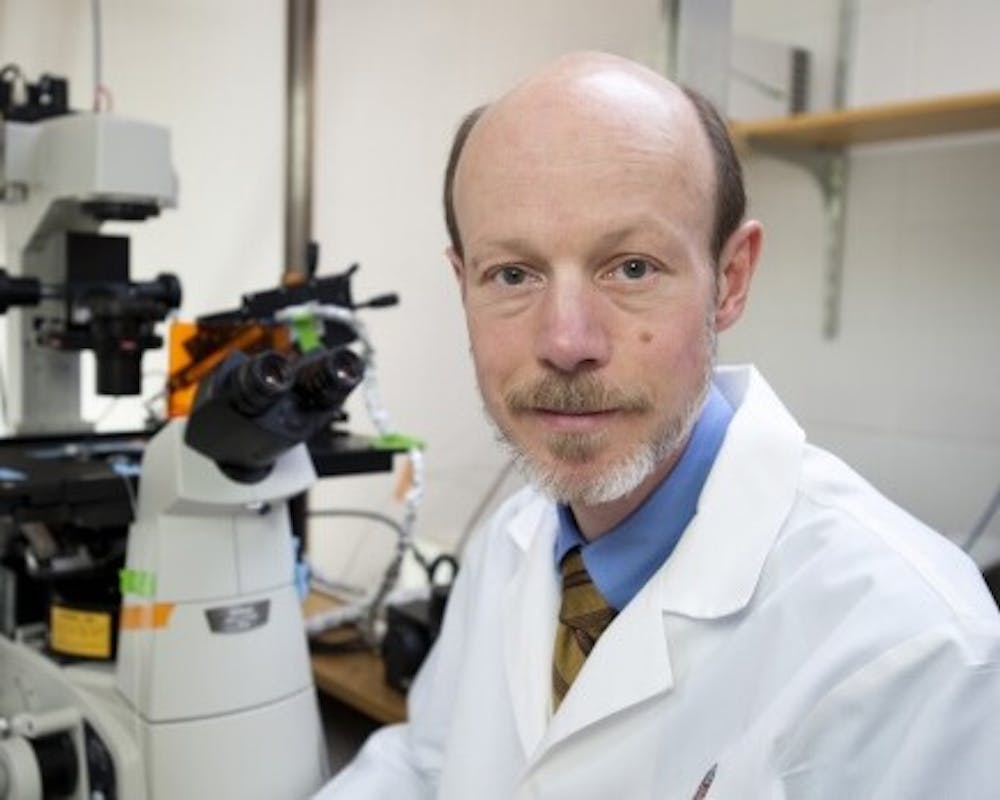 Cardiologist Timothy J. Kamp led the team that helped transform cells in a mouse.