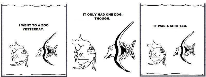 Tanked Life - 04/04/2013