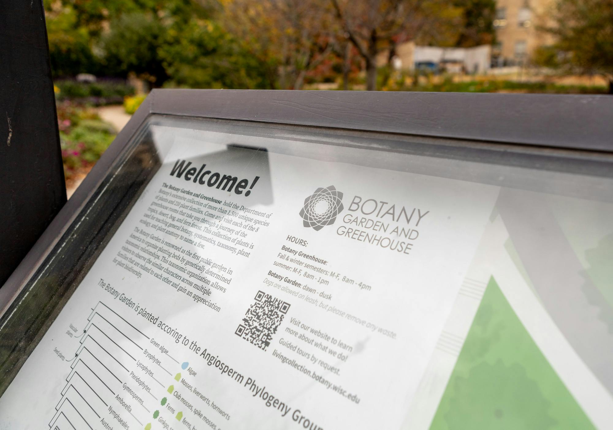 26_10_14-Mintz-Botany-2.jpg