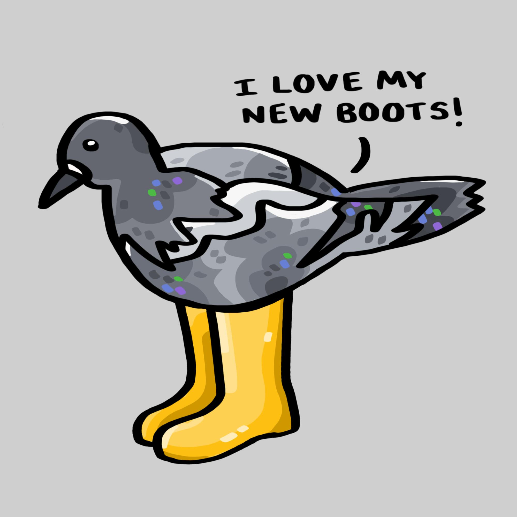 New Boots.png