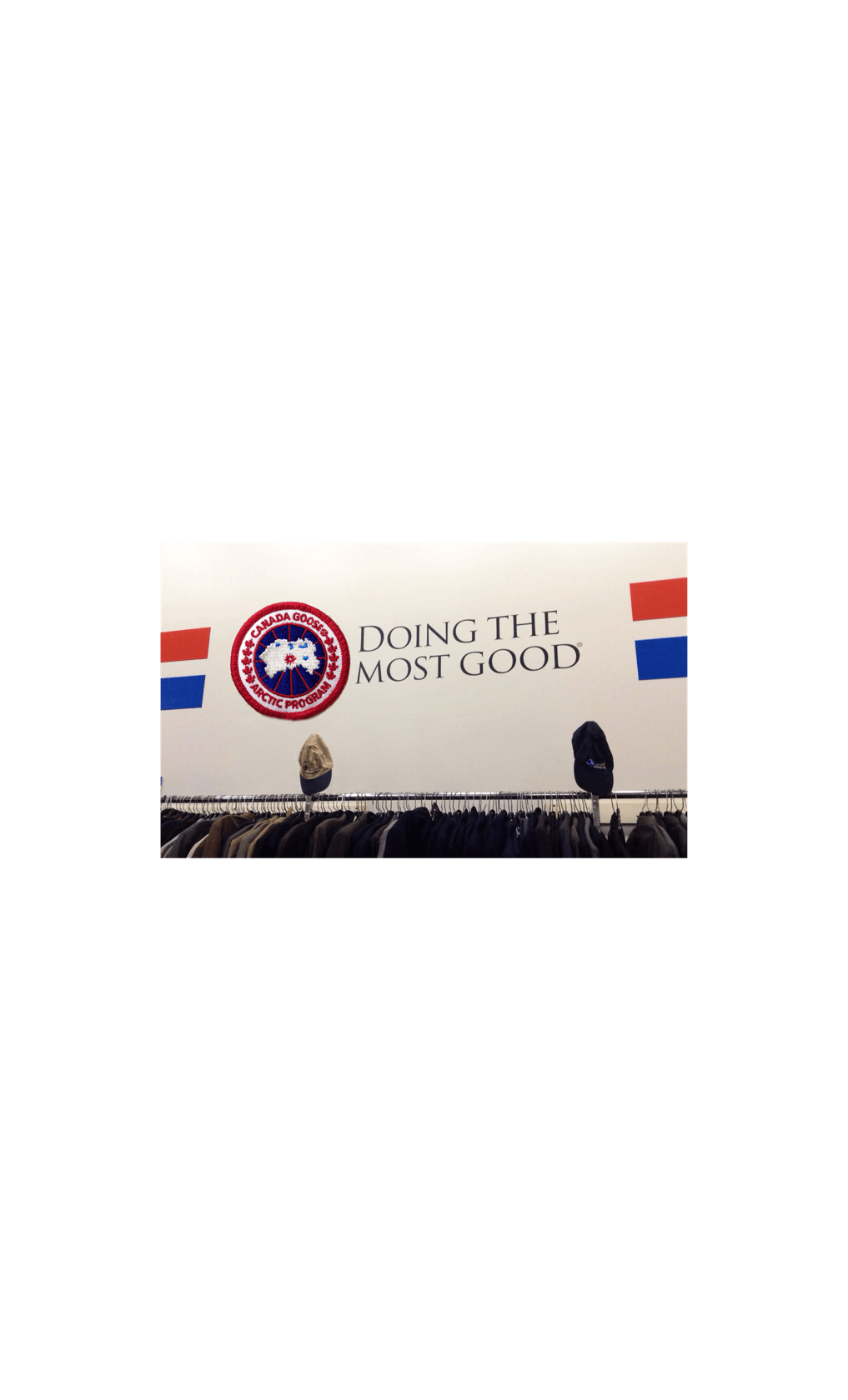 almanac-actionproject-canadagoose.PNG