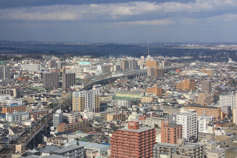 Japan study abroad programs canceled for spring semester