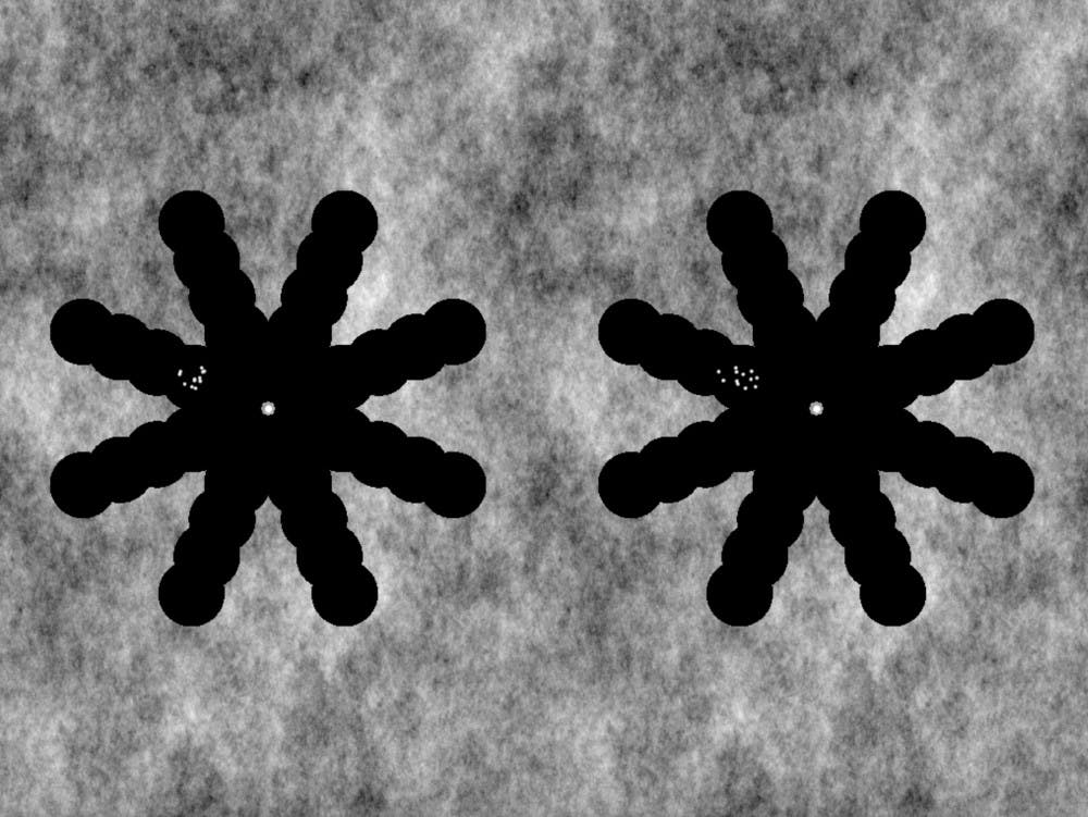 The visual stimulus presented to both eyes during the experiment in Dr. Bas Roker's lab.