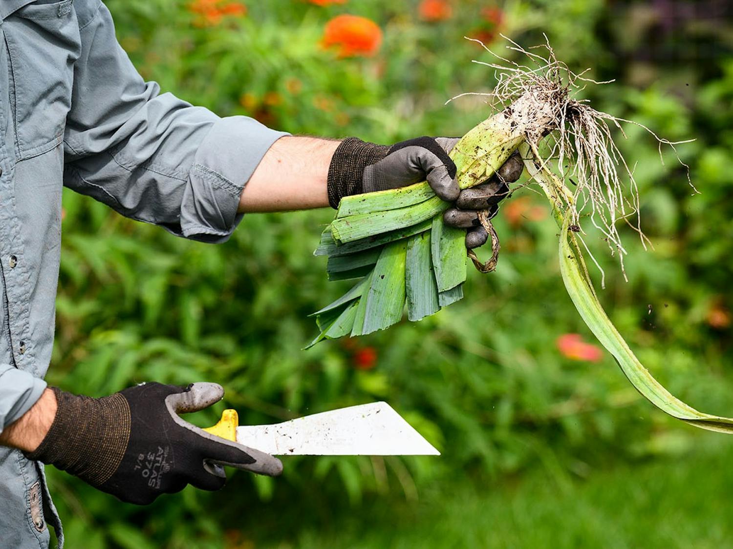 Photo by Jeff Miller / UW-Madison