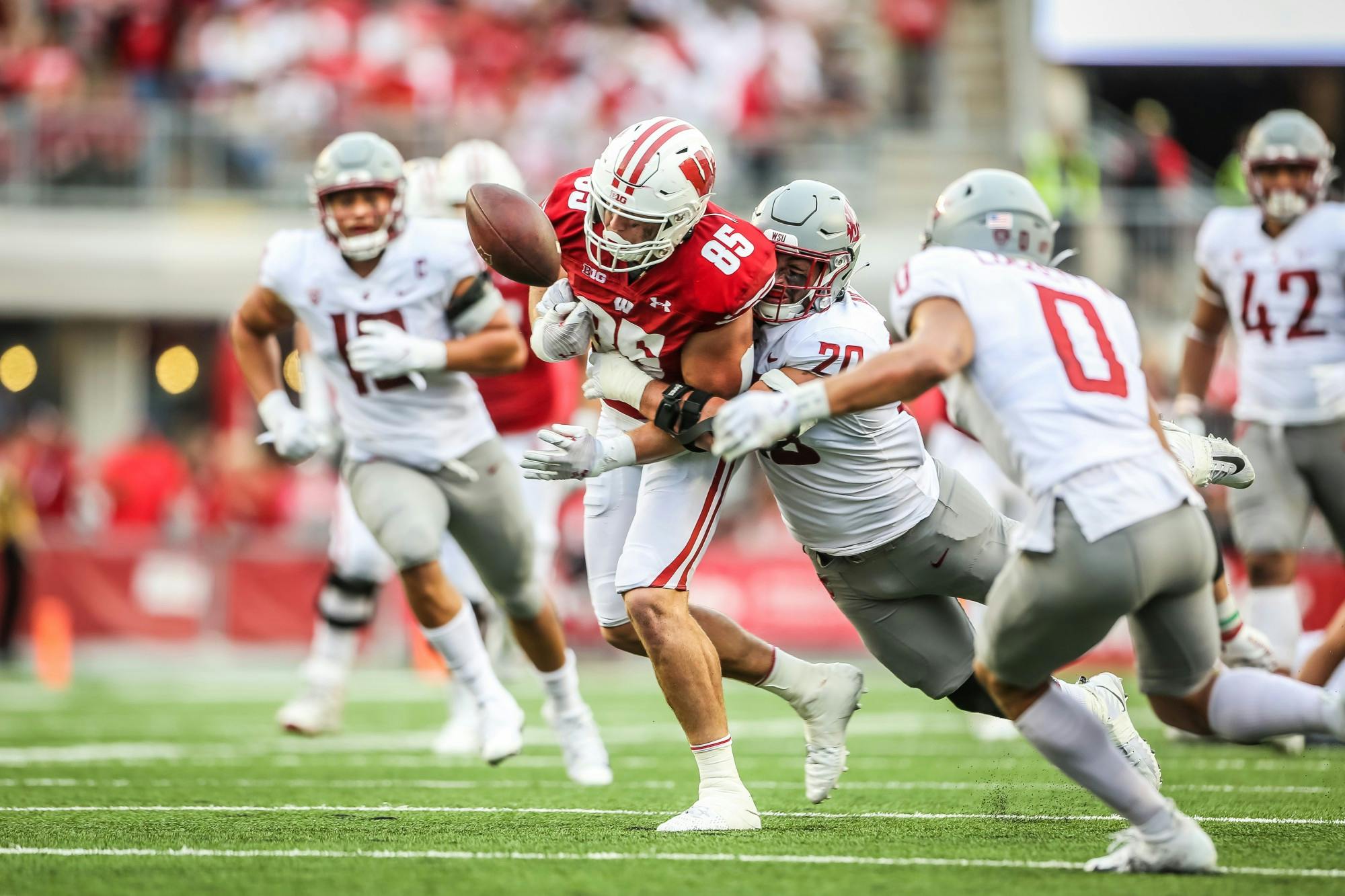 Wisconsin_Vs_WashingtonState_Football030.JPG