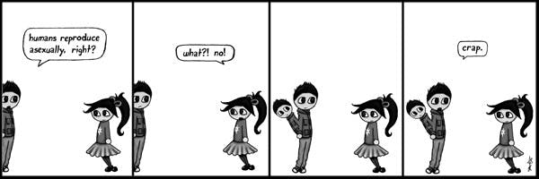 10/14/2009 - Evil Bird