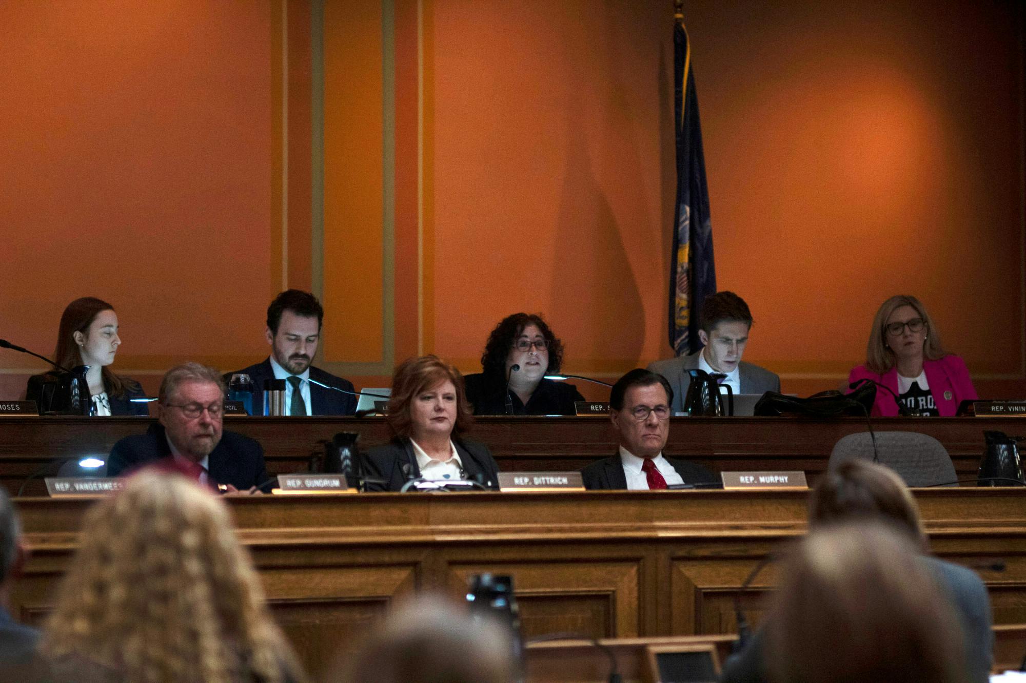 Abortion Bill Hearing008.jpg