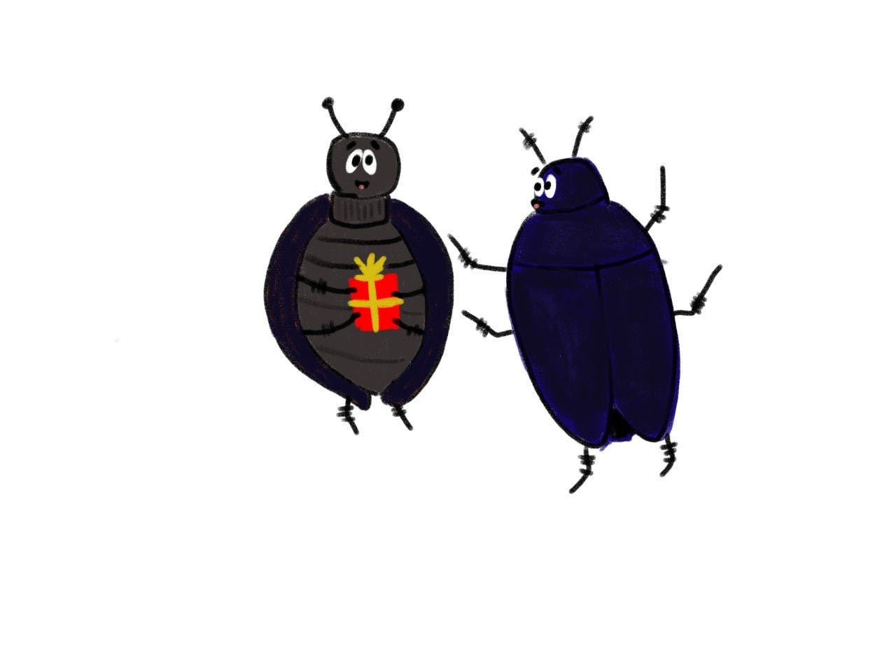 beetles.jpg