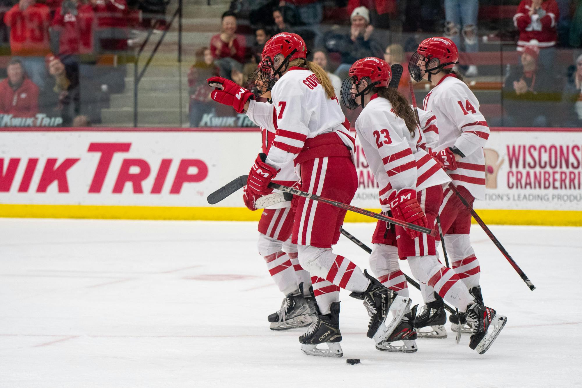 Women's Hockey vs Bemidji