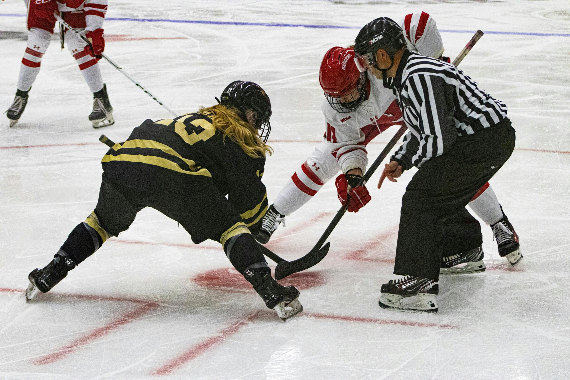 PHOTOS: Badgers Subdue Lindenwood Lions in 12-0 Blowout