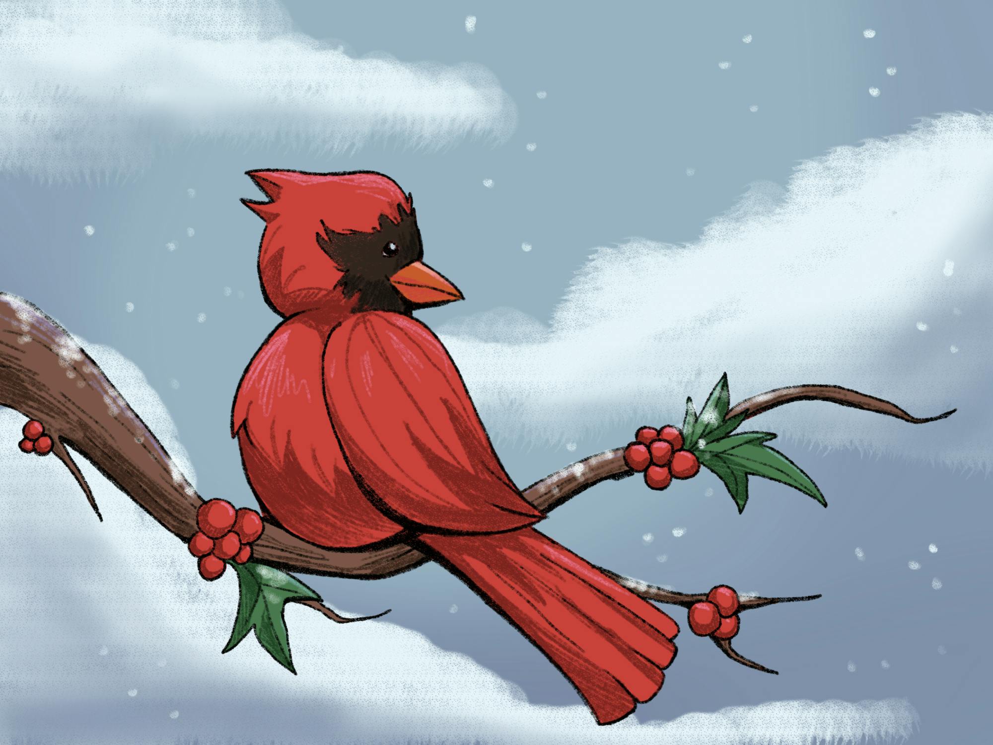 Winter Cardinal