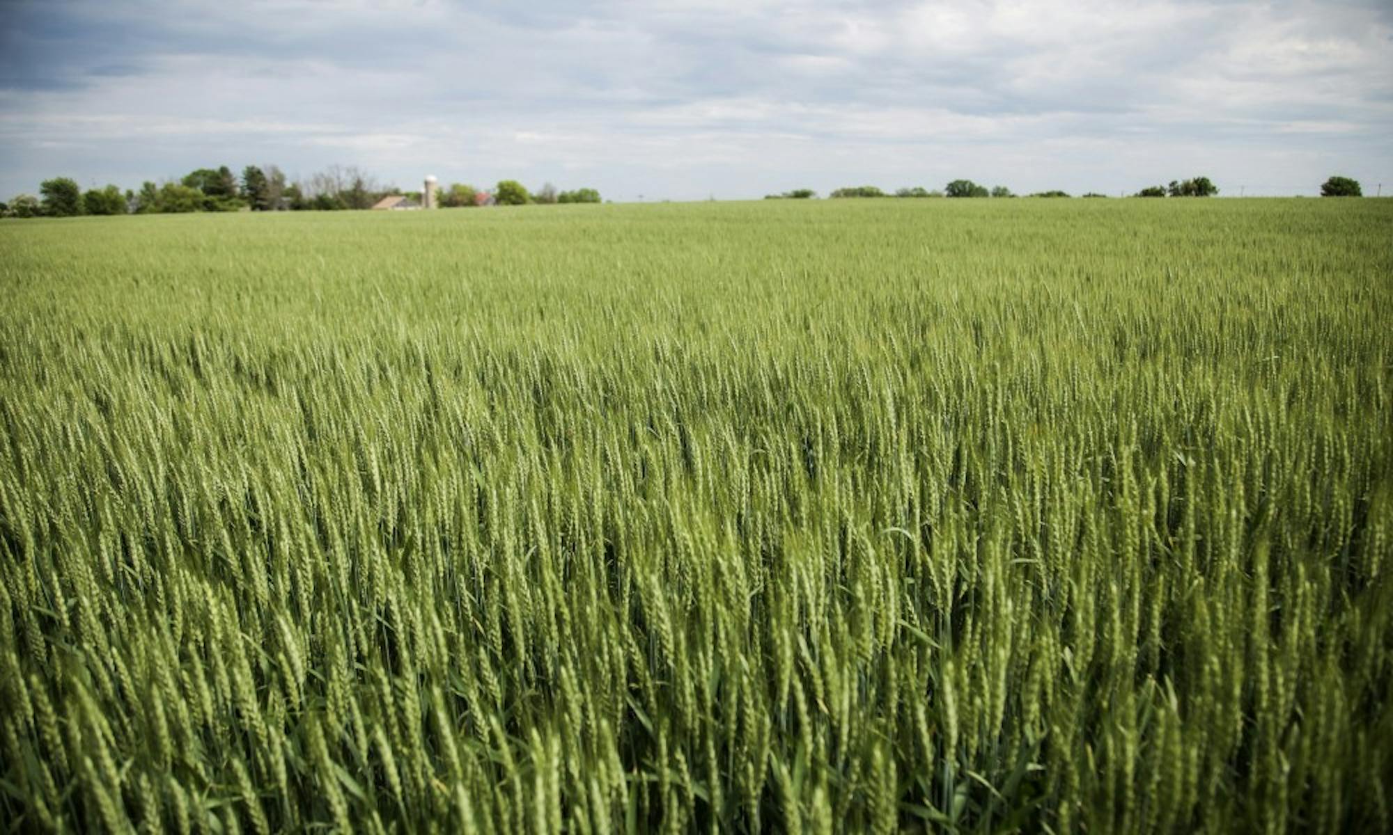 Based in urban Madison, it can be hard for the university’s research to reach the far-flung areas of the state where farming and agriculture comprise the greatest share of the economy.