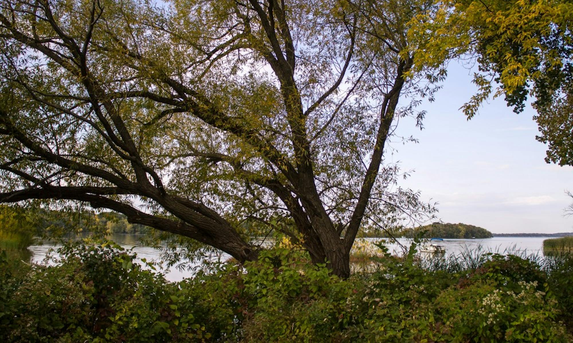 Dane County plans to fund water cleanup effort near East Towne Mall.