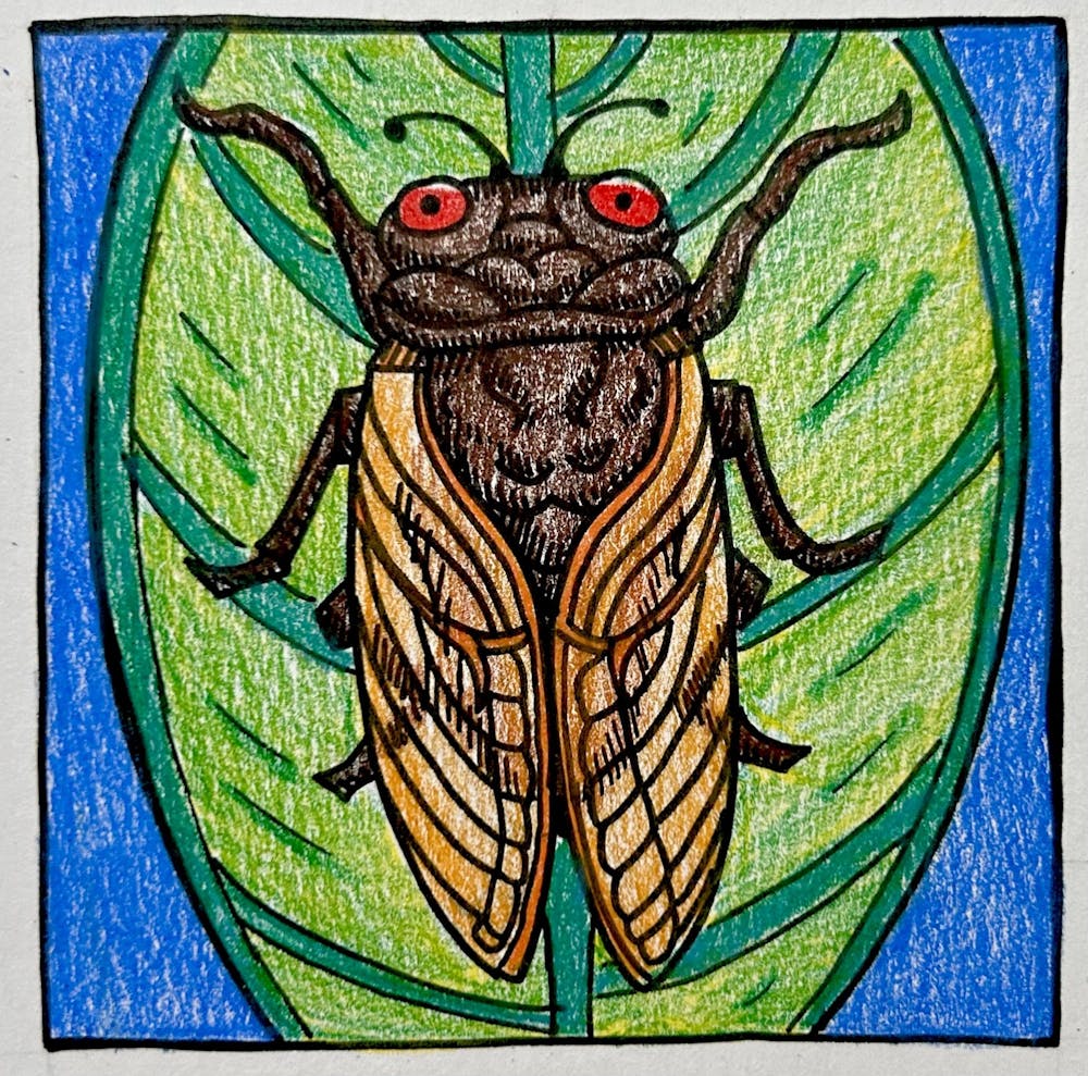 Cicada Graphic.jpg