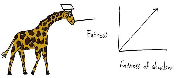 09/16/2009 - The Graph Giraffe