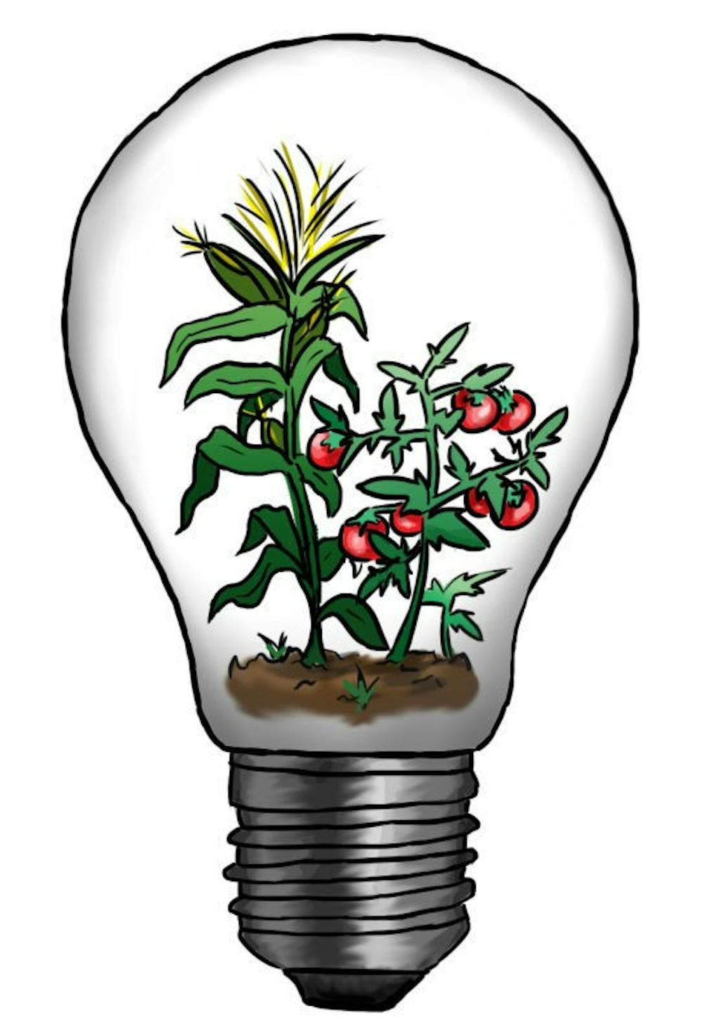 Sustainable Light Bulb