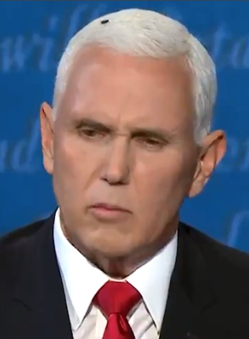Arguably the most memorable moment of the debate was when a fly landed on Pence’s head and stayed there for two whole minutes, as he was in the middle of denying the existence of systematic racism in our country.