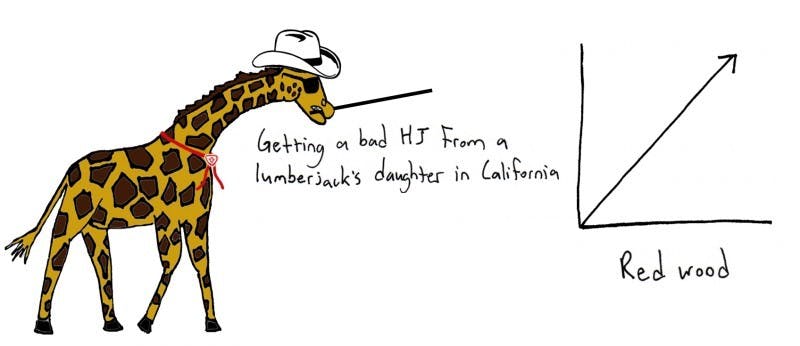 11/12/2009 - The Graph Giraffe