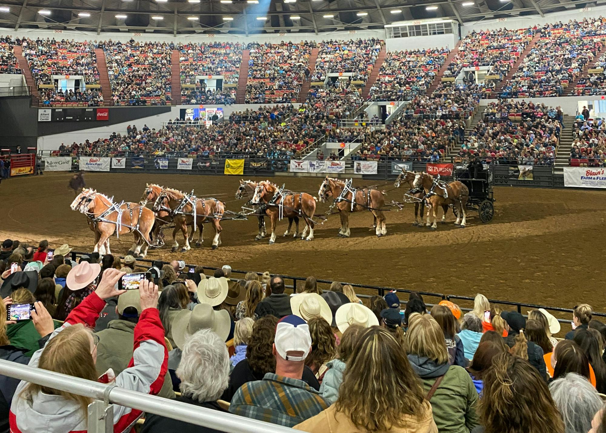 Midwest Horse Fair April 19, 2024-2.jpg