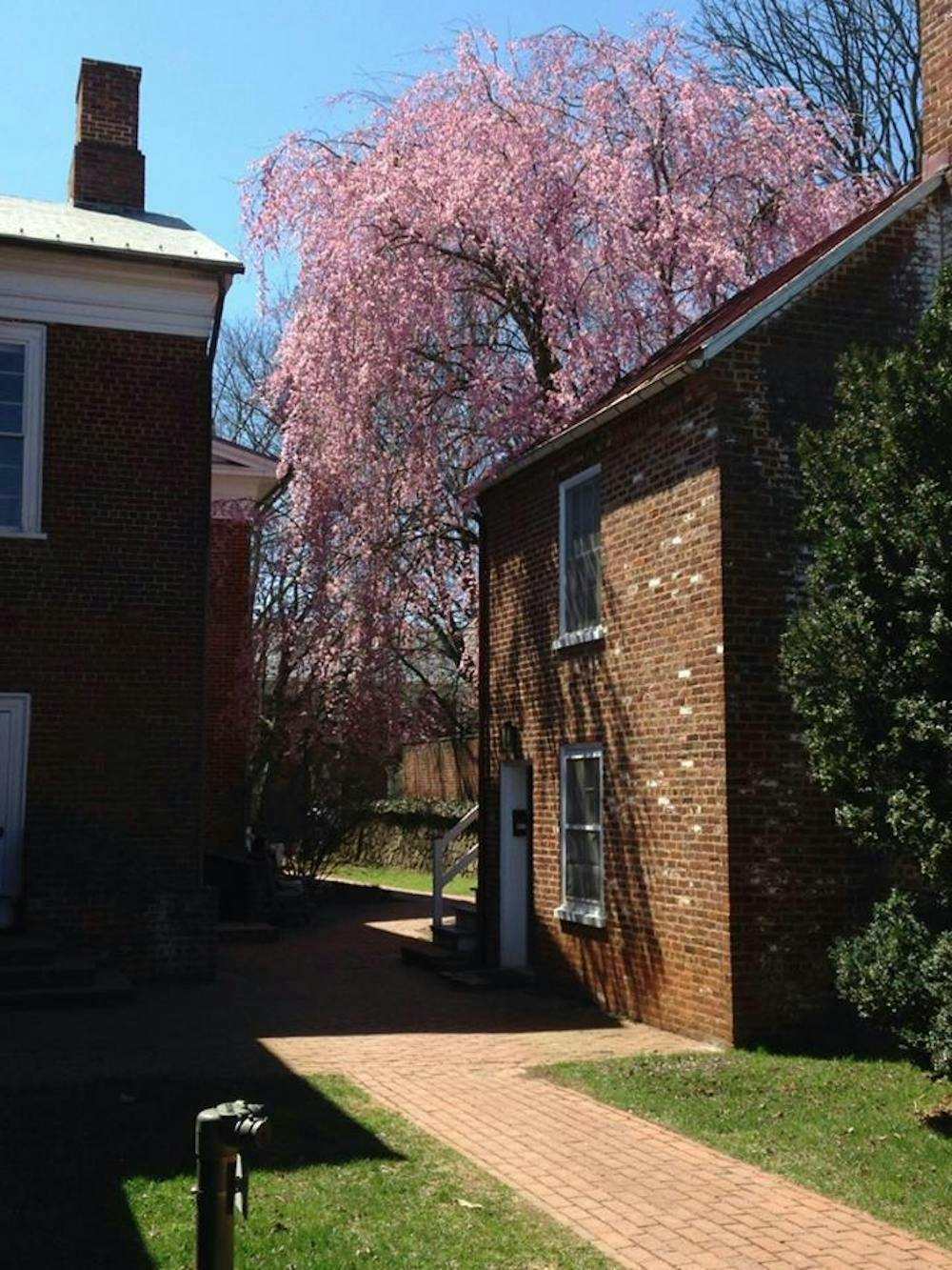 Yo soy una profesora de estudios alemanes en esta Universidad, y también la nieta de inmigrantes Judíos de Europa del Este.