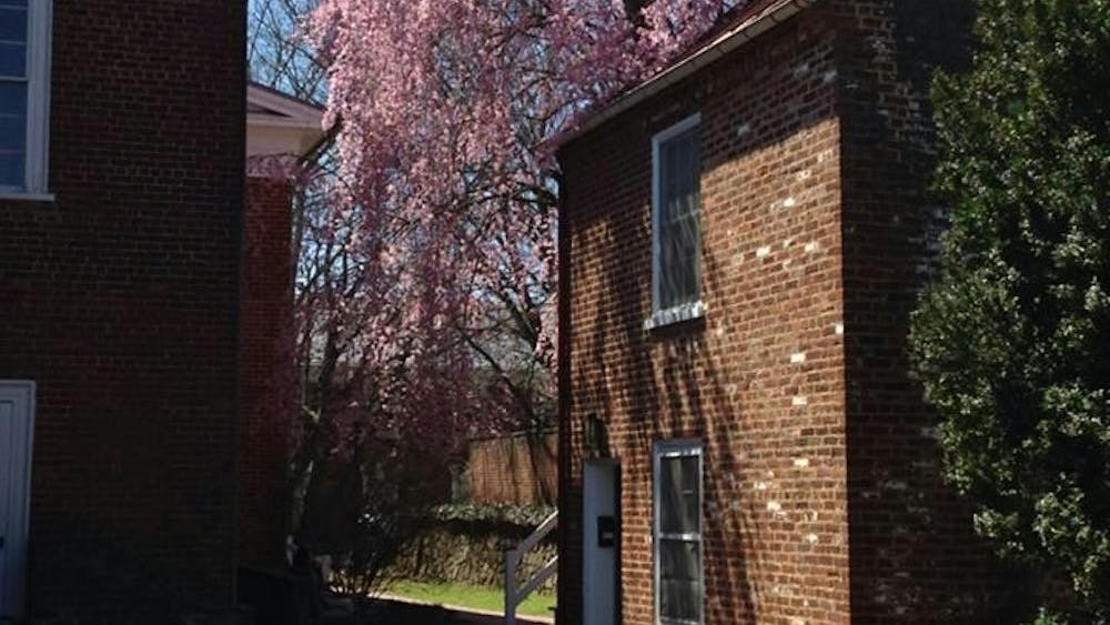 Yo soy una profesora de estudios alemanes en esta Universidad, y también la nieta de inmigrantes Judíos de Europa del Este.