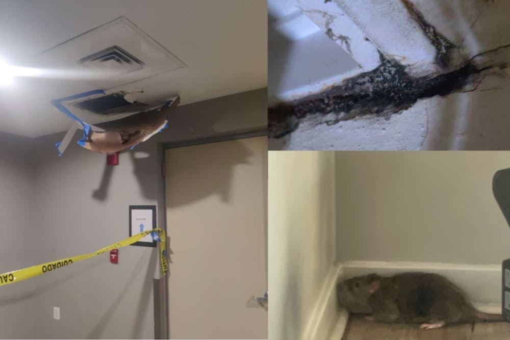 Ceiling damage, mold growing on a surface and a rodent found in Chapman Development properties all seen within the past year.