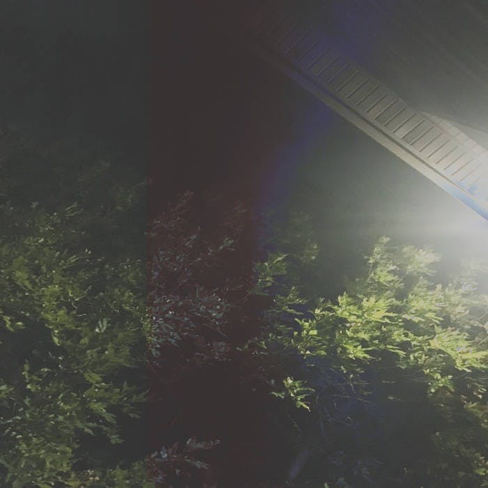 Elroy Love released a new single this month.