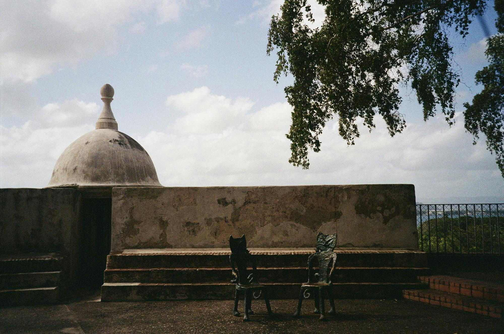 img-6909