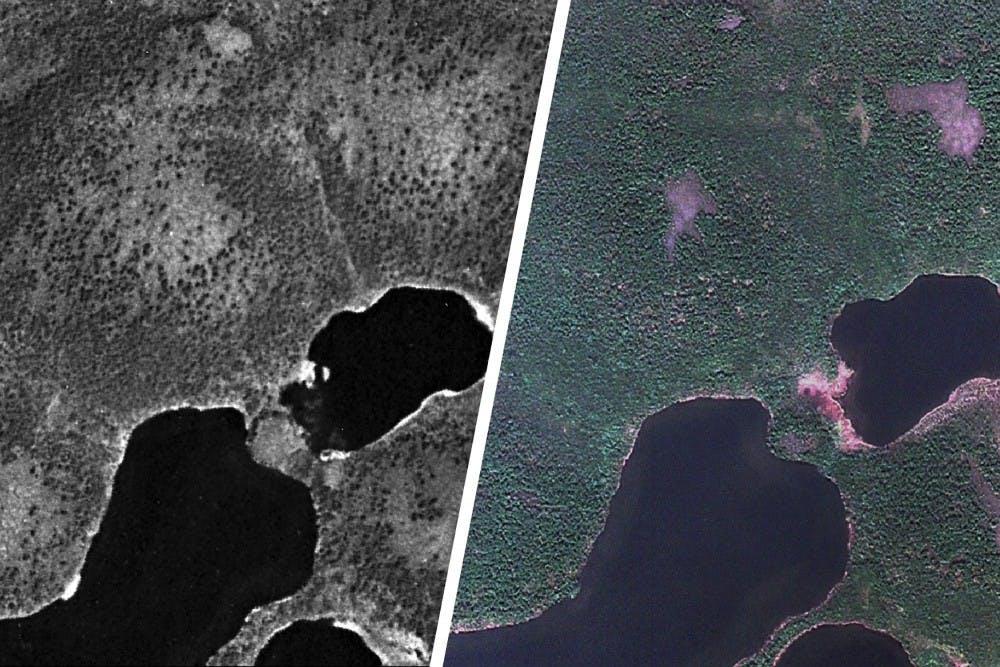Environmental Science Prof. Howie Epstein and graduate student Gerald Frost identified areas of increased shrub growth in the Arctic using declassified spy satellite photos.