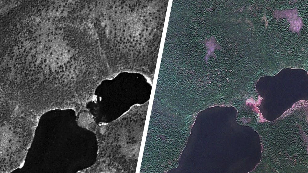 Environmental Science Prof. Howie Epstein and graduate student Gerald Frost identified areas of increased shrub growth in the Arctic using declassified spy satellite photos.