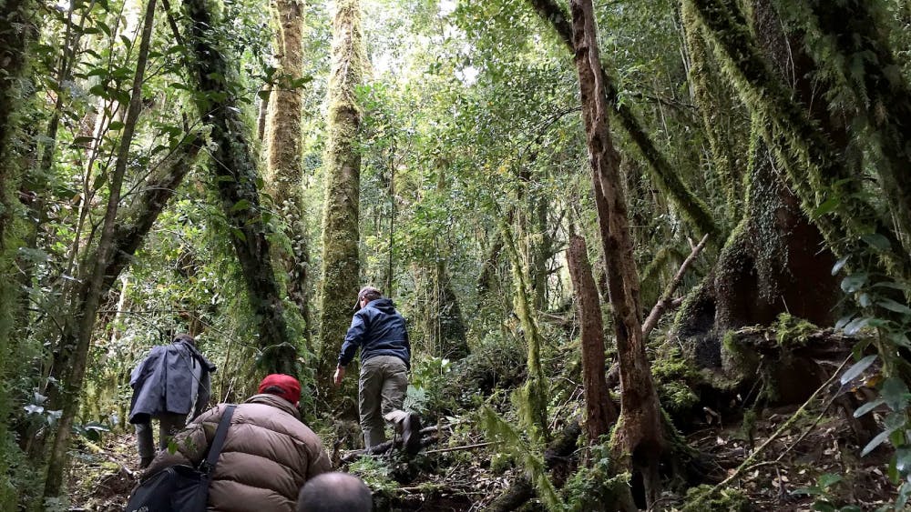 Amidst of the warm weather, Student Health recommends that hikers take the proper precautions such as dressing appropriately and applying adequate repellent in order to protect themselves from bacterial infections acquired through tick bites. 