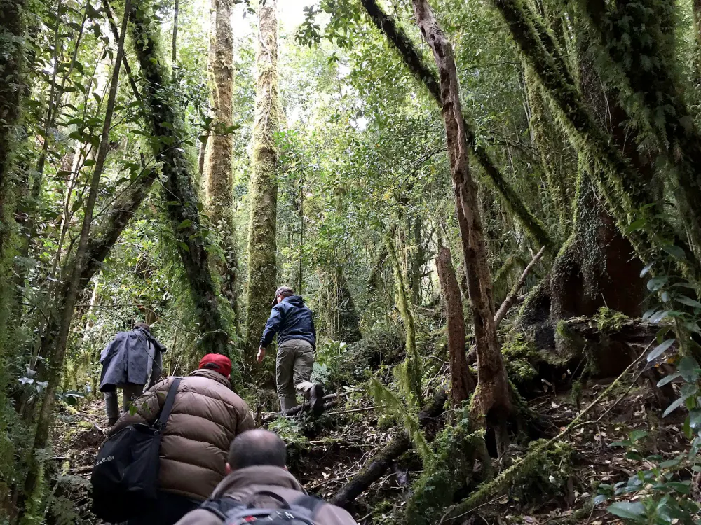 Amidst of the warm weather, Student Health recommends that hikers take the proper precautions such as dressing appropriately and applying adequate repellent in order to protect themselves from bacterial infections acquired through tick bites. 
