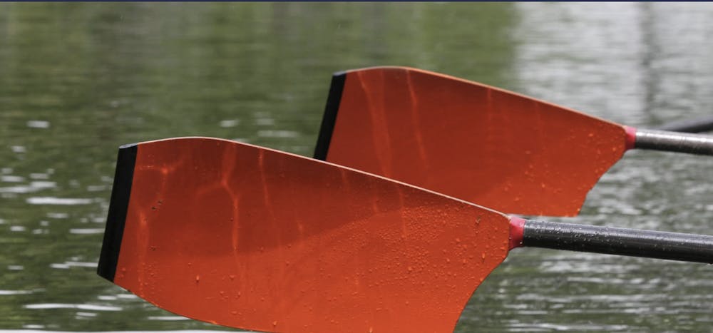 <p>Paddles preparing to bite the water.</p>