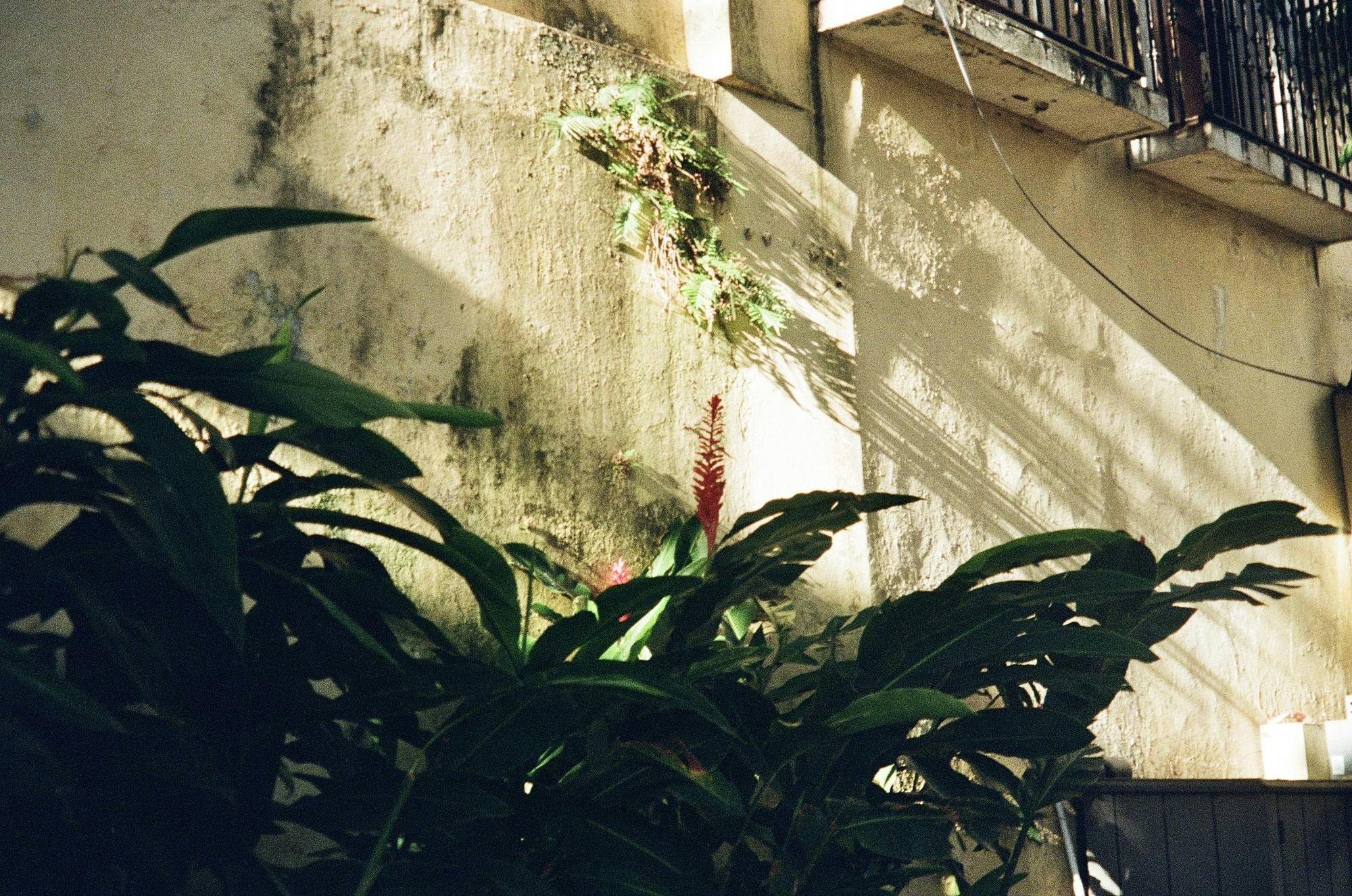 img-6963