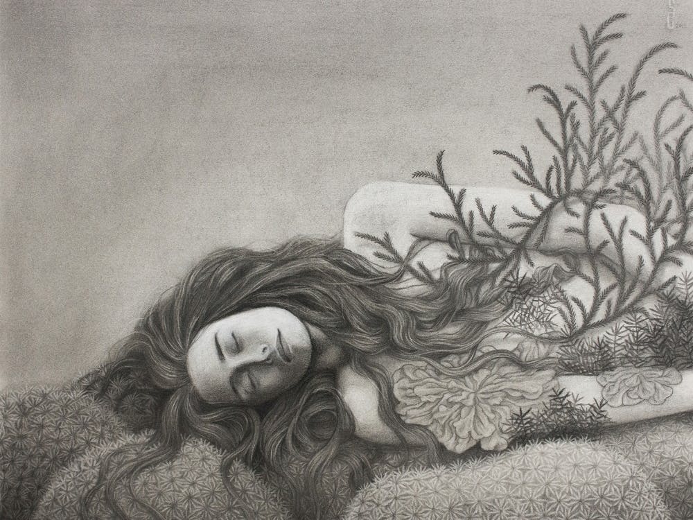 Artist Sam Gray created a charcoal piece titled “Bryophyte,” which she says was largely inspired by her own relationship with the environment and her goals for it in the future.