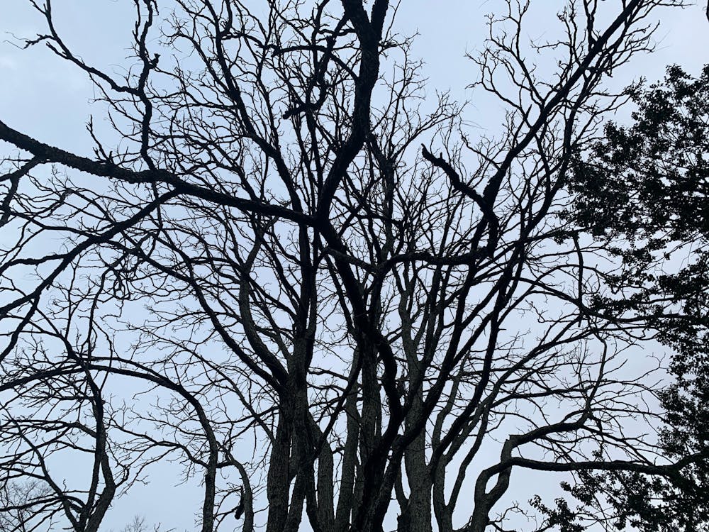 I was forced to withdraw from the University, uncertain of whether I would be admitted into another school, and if I did, whether I’d ever be able to return to a college campus again. Meanwhile, the Respondent was given a degree.