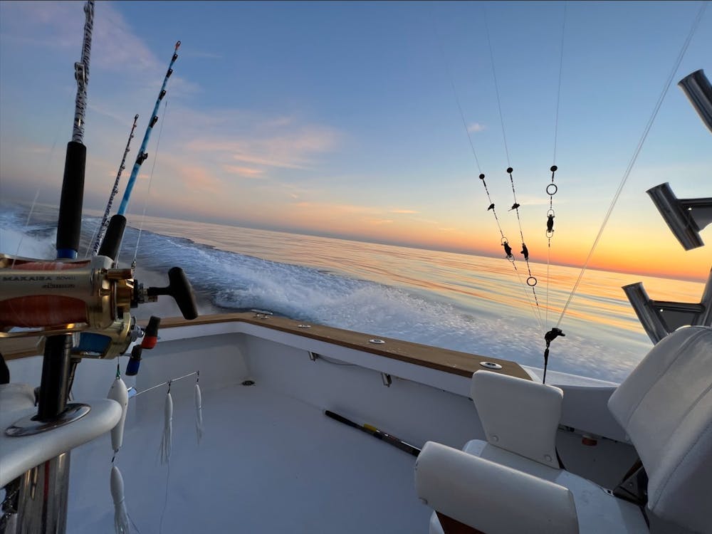 Fishing can be extremely chaotic when the fish are biting — multiple lines violently rip out of their holding clips, and their corresponding rods bend over while the line rips off of them.